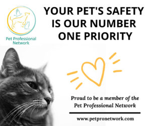 Design-2-pet-care-and-safety